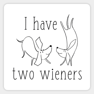 I Have Two Wieners Magnet